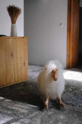 lifestyle produktove foceni interier