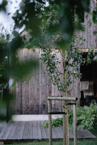 lifestyle foceni architektury