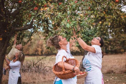 nezisková organizace egeria