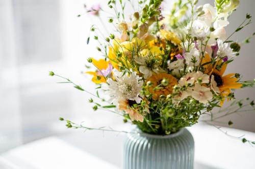 produktové fotky praha