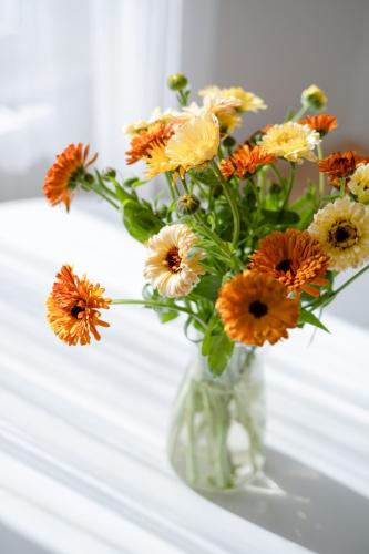 produktové fotky praha