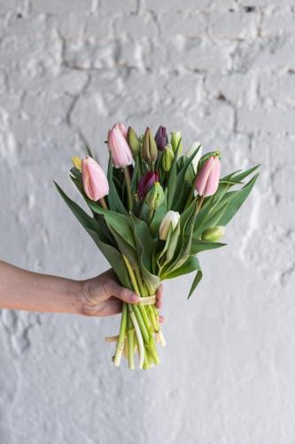 fotka pugét tulipány